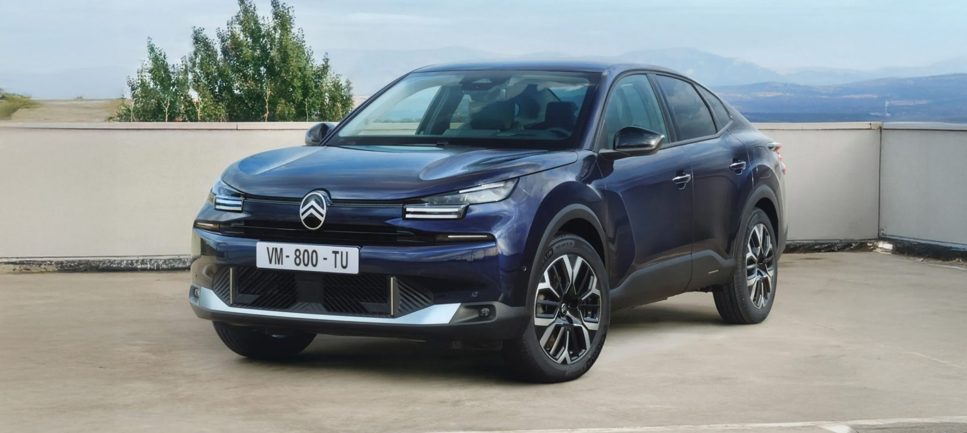 Citroen Elektronik Servisi